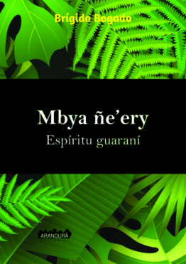 Mbya ñeery