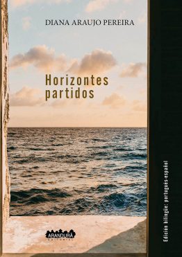 Horizontes partidos